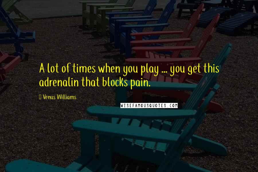 Venus Williams Quotes: A lot of times when you play ... you get this adrenalin that blocks pain.