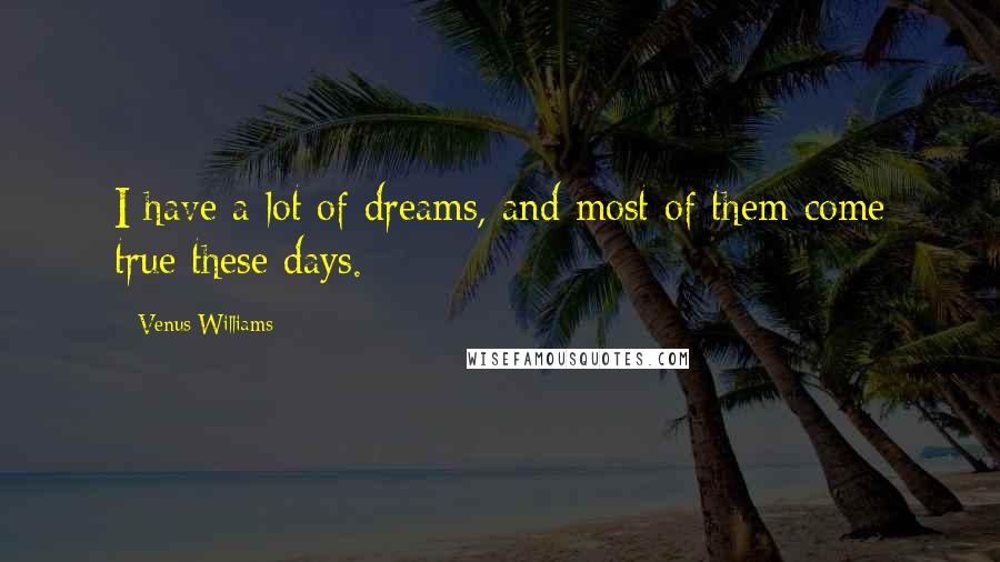 Venus Williams Quotes: I have a lot of dreams, and most of them come true these days.