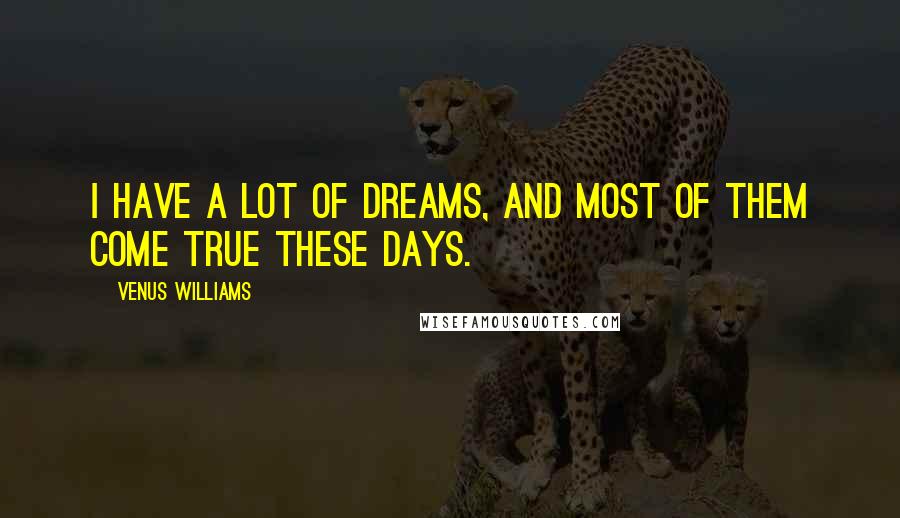 Venus Williams Quotes: I have a lot of dreams, and most of them come true these days.