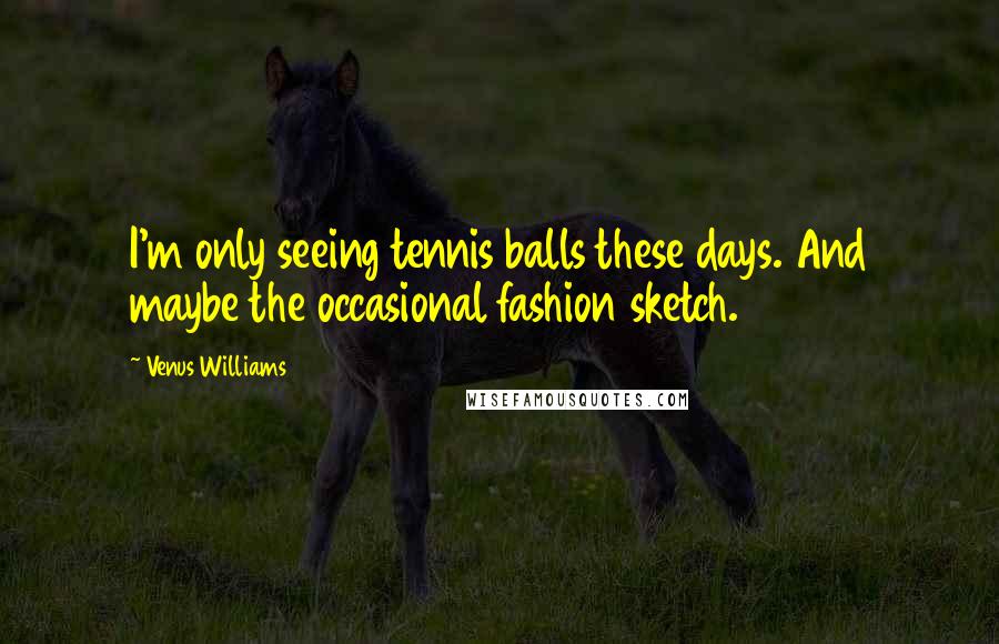 Venus Williams Quotes: I'm only seeing tennis balls these days. And maybe the occasional fashion sketch.