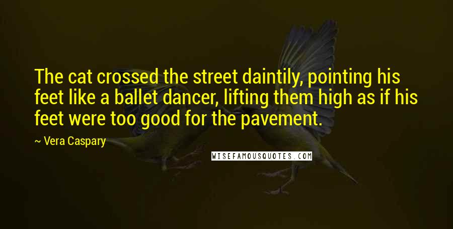 Vera Caspary Quotes: The cat crossed the street daintily, pointing his feet like a ballet dancer, lifting them high as if his feet were too good for the pavement.