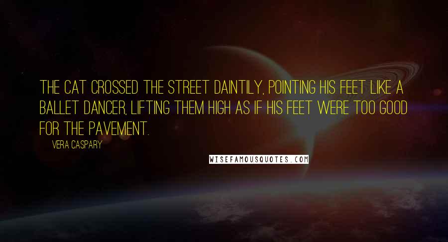 Vera Caspary Quotes: The cat crossed the street daintily, pointing his feet like a ballet dancer, lifting them high as if his feet were too good for the pavement.