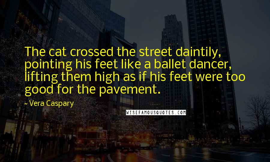 Vera Caspary Quotes: The cat crossed the street daintily, pointing his feet like a ballet dancer, lifting them high as if his feet were too good for the pavement.