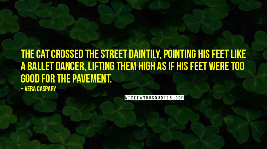 Vera Caspary Quotes: The cat crossed the street daintily, pointing his feet like a ballet dancer, lifting them high as if his feet were too good for the pavement.