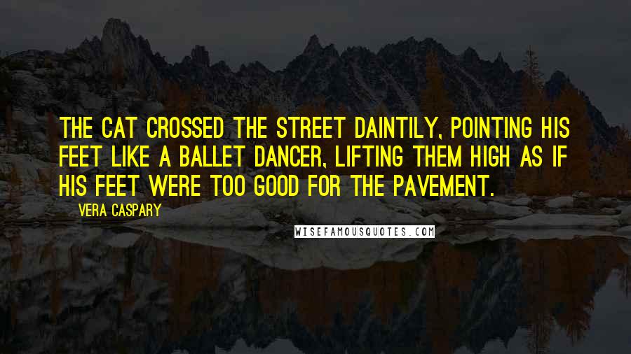 Vera Caspary Quotes: The cat crossed the street daintily, pointing his feet like a ballet dancer, lifting them high as if his feet were too good for the pavement.