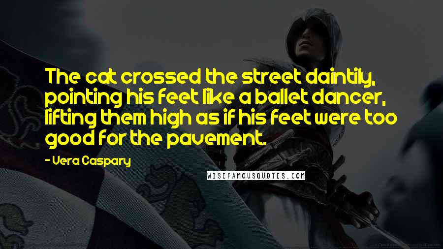 Vera Caspary Quotes: The cat crossed the street daintily, pointing his feet like a ballet dancer, lifting them high as if his feet were too good for the pavement.