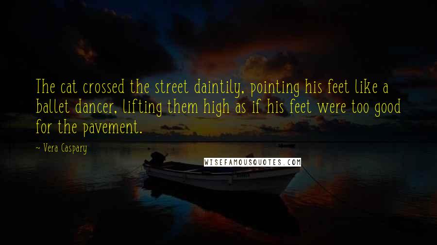 Vera Caspary Quotes: The cat crossed the street daintily, pointing his feet like a ballet dancer, lifting them high as if his feet were too good for the pavement.