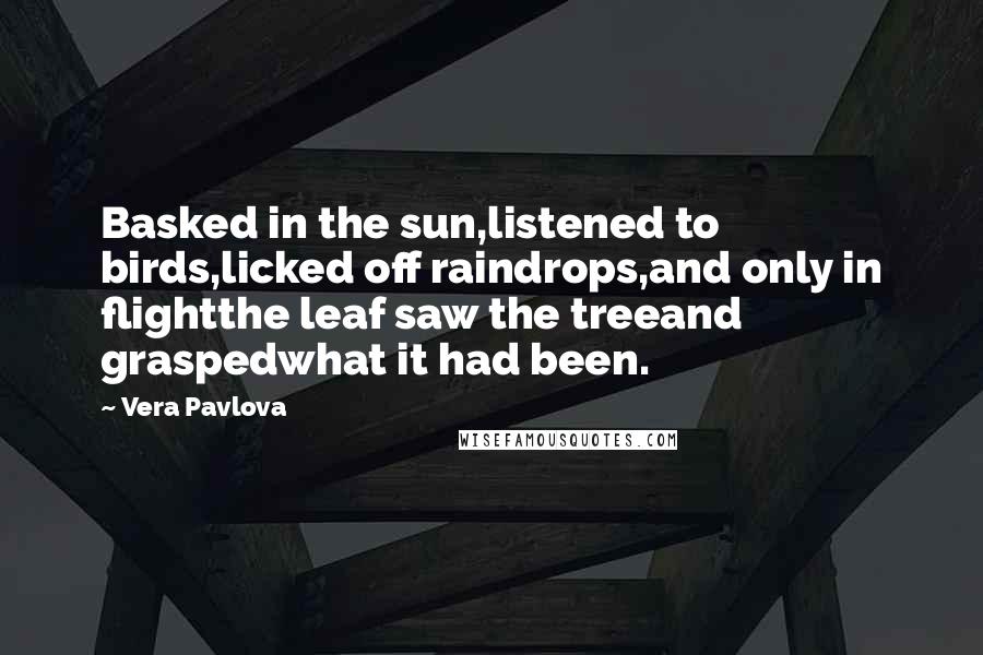 Vera Pavlova Quotes: Basked in the sun,listened to birds,licked off raindrops,and only in flightthe leaf saw the treeand graspedwhat it had been.