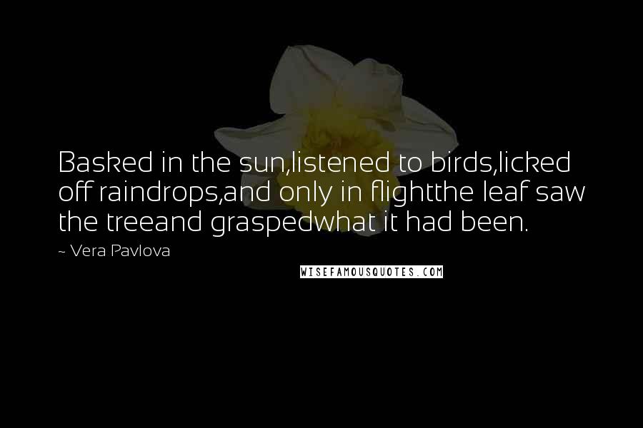 Vera Pavlova Quotes: Basked in the sun,listened to birds,licked off raindrops,and only in flightthe leaf saw the treeand graspedwhat it had been.