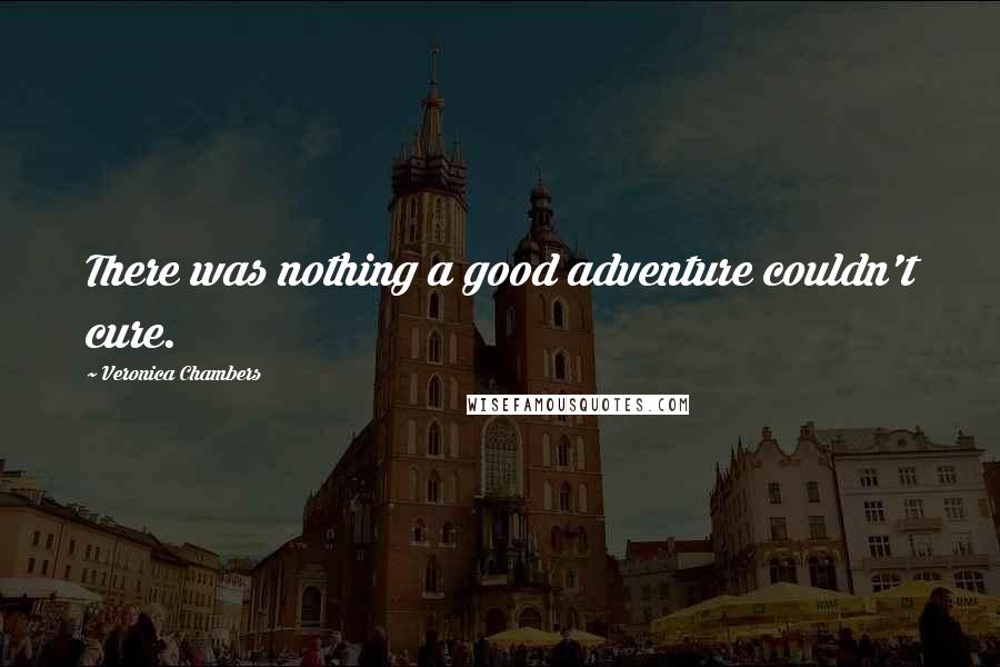 Veronica Chambers Quotes: There was nothing a good adventure couldn't cure.