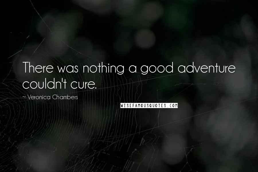 Veronica Chambers Quotes: There was nothing a good adventure couldn't cure.