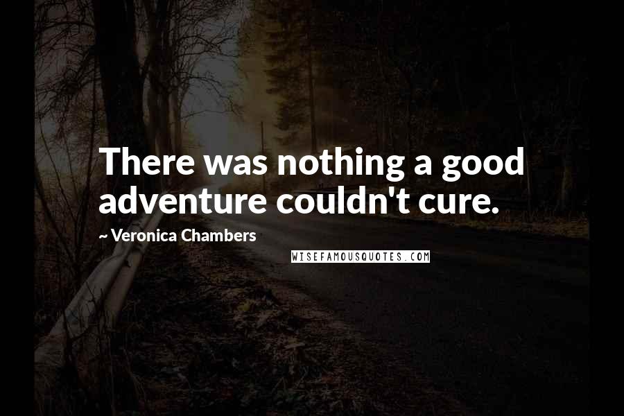 Veronica Chambers Quotes: There was nothing a good adventure couldn't cure.