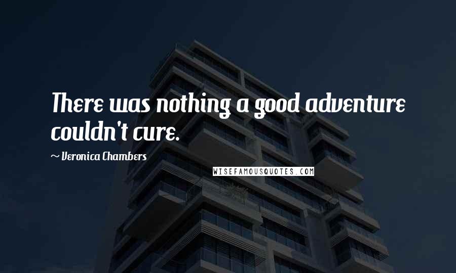 Veronica Chambers Quotes: There was nothing a good adventure couldn't cure.