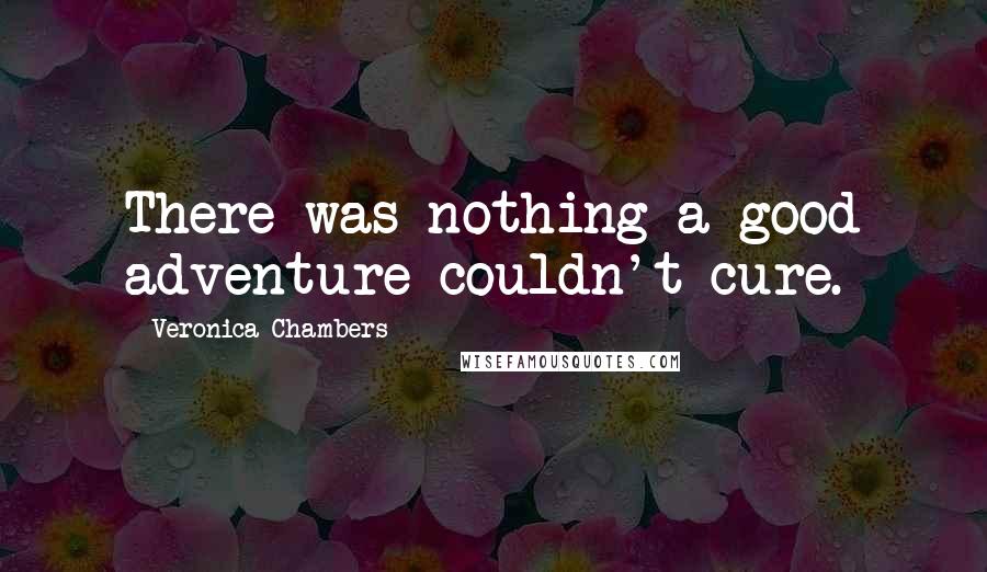 Veronica Chambers Quotes: There was nothing a good adventure couldn't cure.