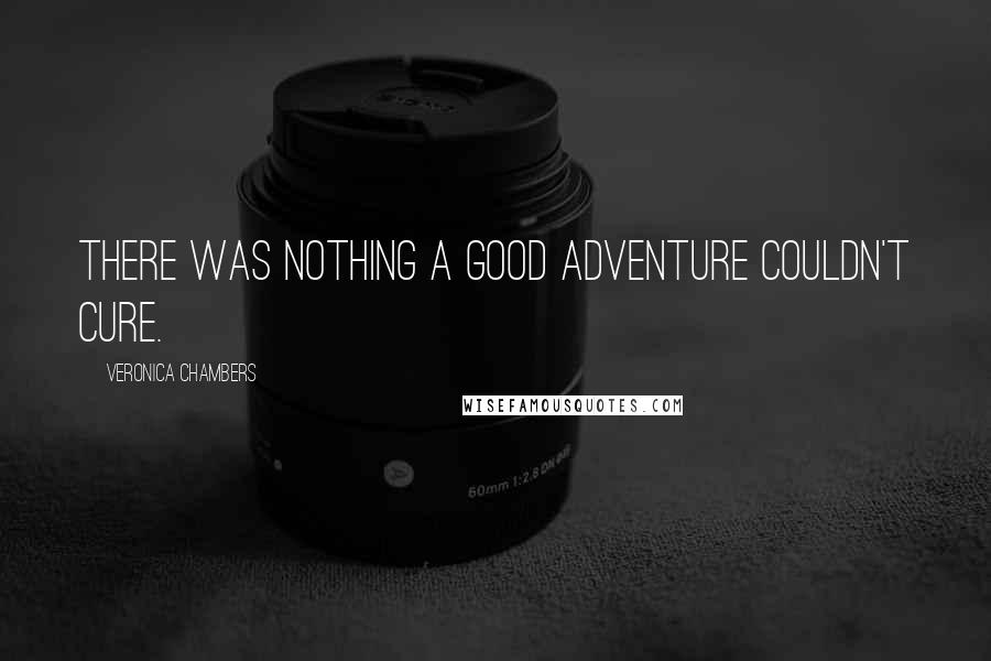Veronica Chambers Quotes: There was nothing a good adventure couldn't cure.