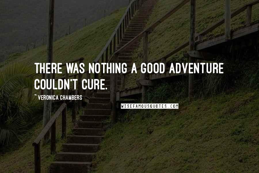 Veronica Chambers Quotes: There was nothing a good adventure couldn't cure.