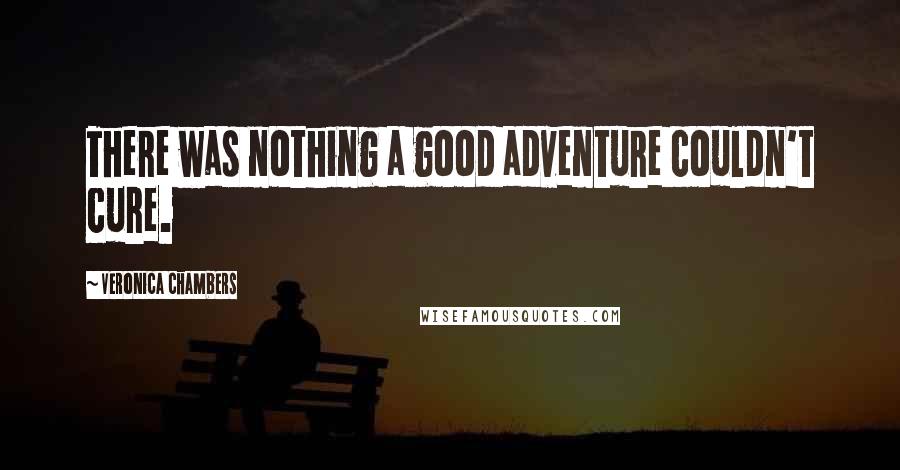 Veronica Chambers Quotes: There was nothing a good adventure couldn't cure.