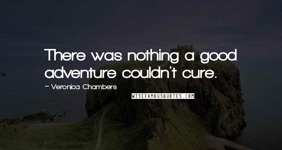 Veronica Chambers Quotes: There was nothing a good adventure couldn't cure.