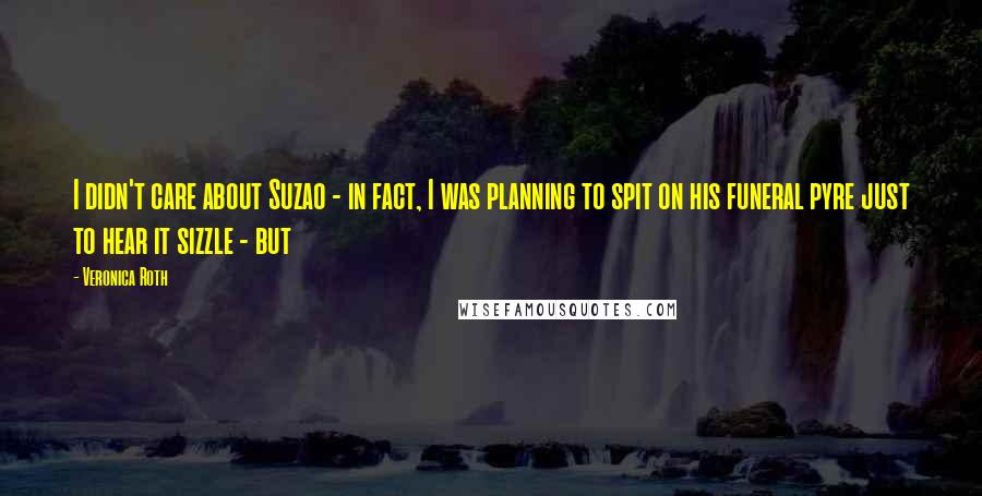 Veronica Roth Quotes: I didn't care about Suzao - in fact, I was planning to spit on his funeral pyre just to hear it sizzle - but