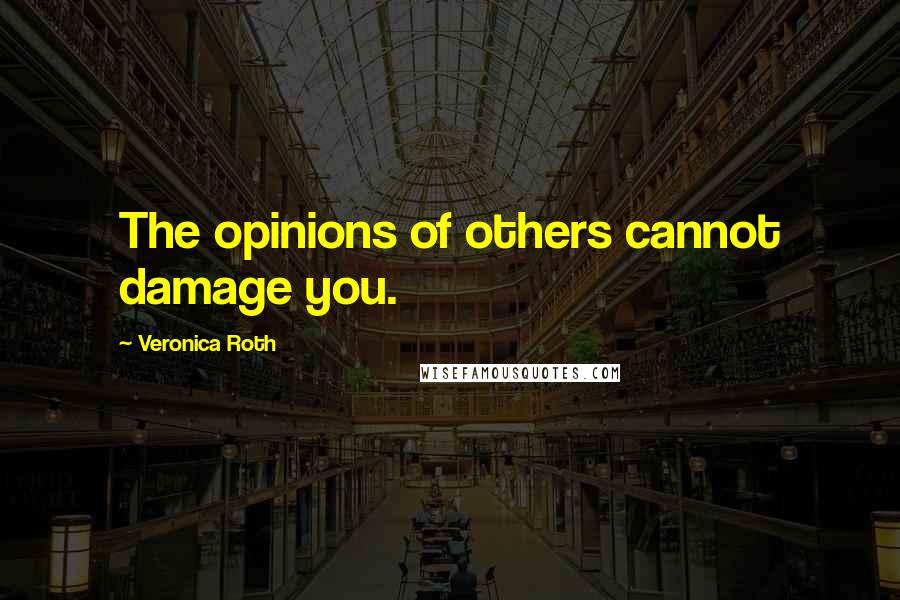 Veronica Roth Quotes: The opinions of others cannot damage you.