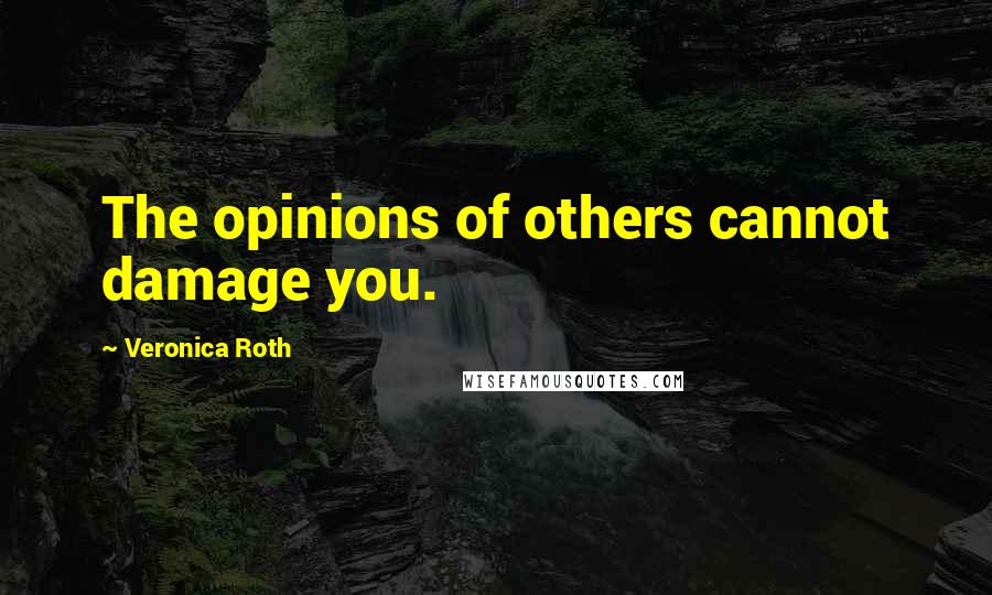 Veronica Roth Quotes: The opinions of others cannot damage you.