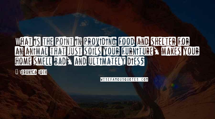 Veronica Roth Quotes: What is the point in providing food and shelter for an animal that just soils your furniture, makes your home smell bad, and ultimately dies?