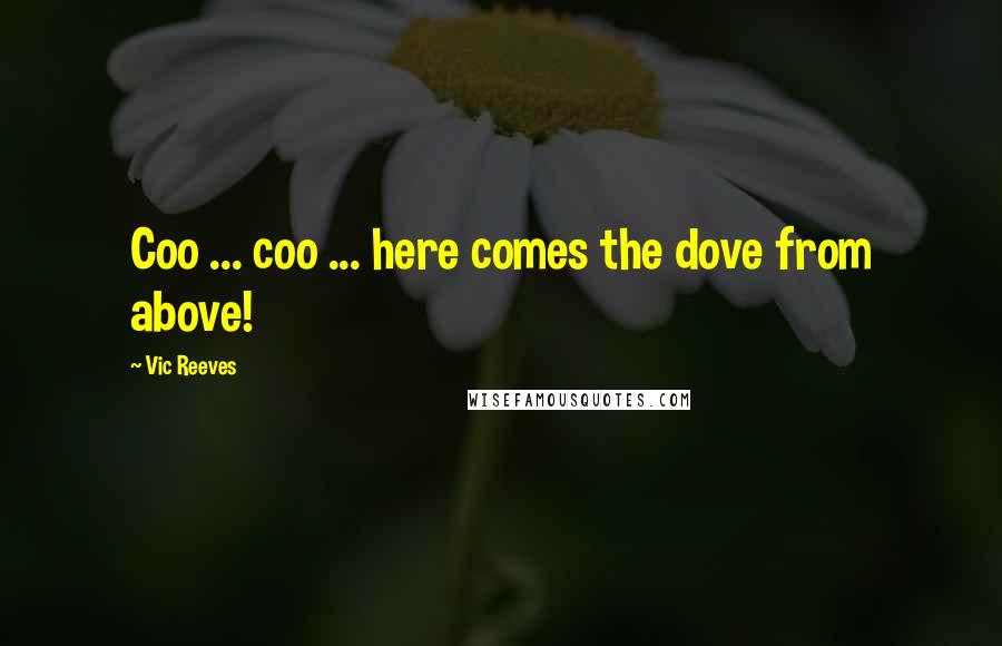 Vic Reeves Quotes: Coo ... coo ... here comes the dove from above!
