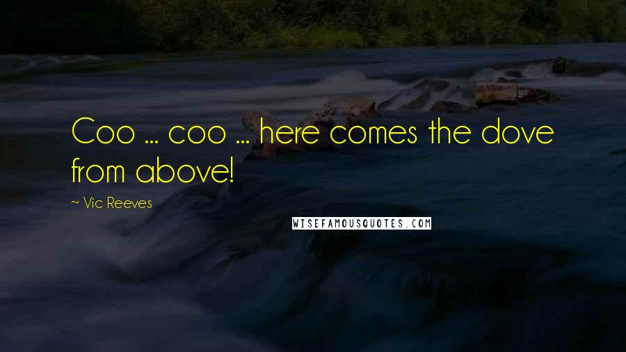 Vic Reeves Quotes: Coo ... coo ... here comes the dove from above!
