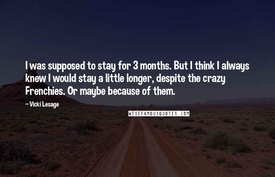 Vicki Lesage Quotes: I was supposed to stay for 3 months. But I think I always knew I would stay a little longer, despite the crazy Frenchies. Or maybe because of them.