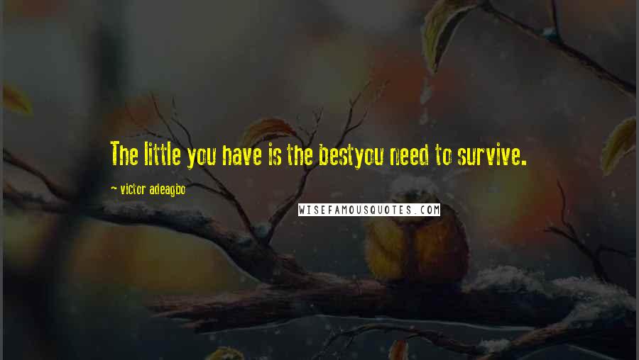 Victor Adeagbo Quotes: The little you have is the bestyou need to survive.