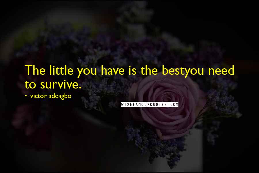 Victor Adeagbo Quotes: The little you have is the bestyou need to survive.