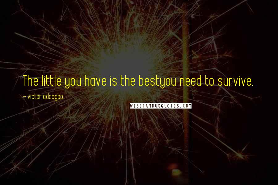 Victor Adeagbo Quotes: The little you have is the bestyou need to survive.