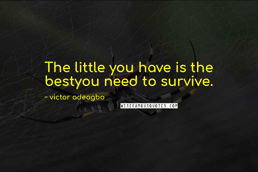 Victor Adeagbo Quotes: The little you have is the bestyou need to survive.