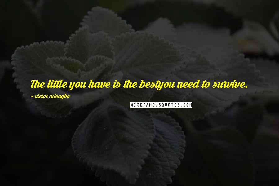 Victor Adeagbo Quotes: The little you have is the bestyou need to survive.