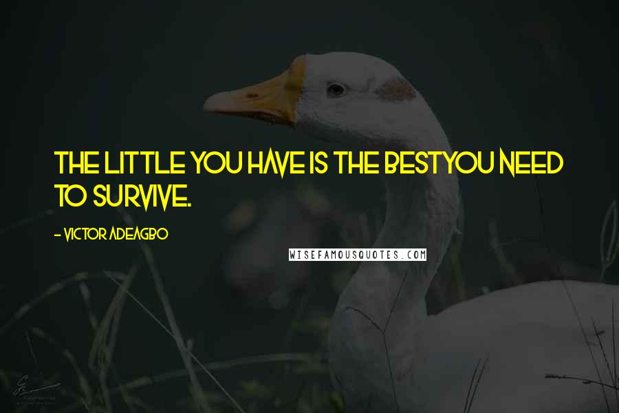 Victor Adeagbo Quotes: The little you have is the bestyou need to survive.