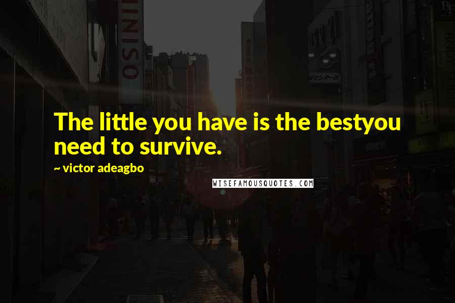 Victor Adeagbo Quotes: The little you have is the bestyou need to survive.