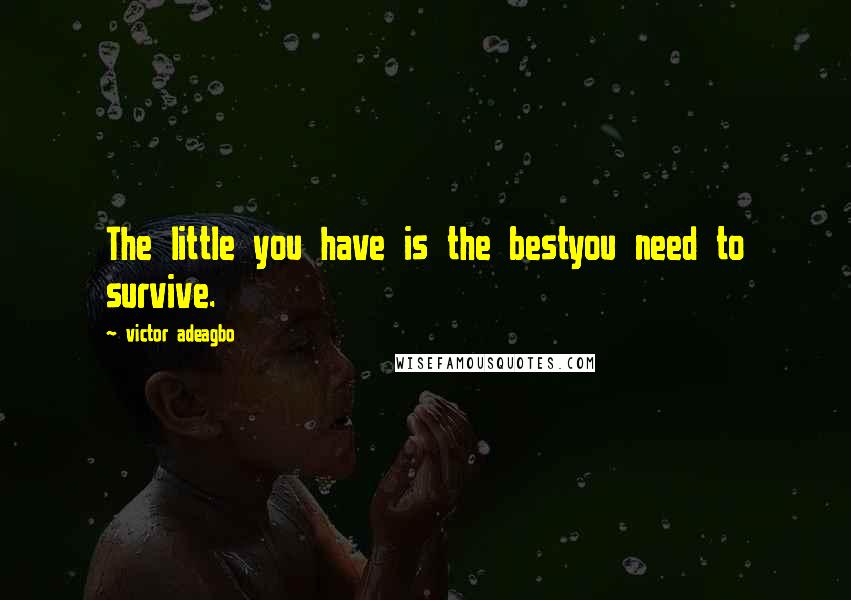 Victor Adeagbo Quotes: The little you have is the bestyou need to survive.