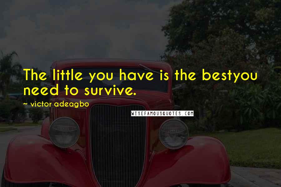 Victor Adeagbo Quotes: The little you have is the bestyou need to survive.