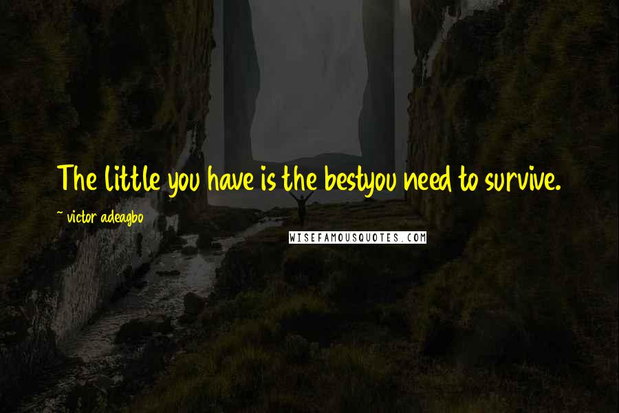 Victor Adeagbo Quotes: The little you have is the bestyou need to survive.