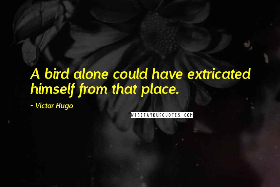 Victor Hugo Quotes: A bird alone could have extricated himself from that place.