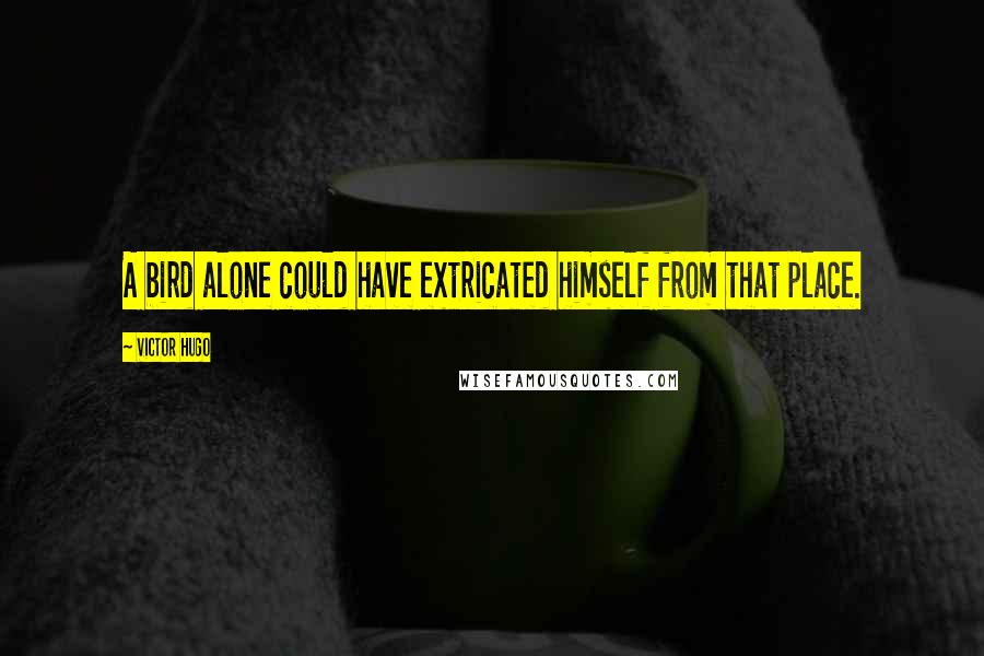 Victor Hugo Quotes: A bird alone could have extricated himself from that place.