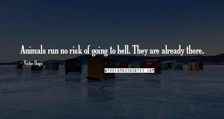 Victor Hugo Quotes: Animals run no risk of going to hell. They are already there.