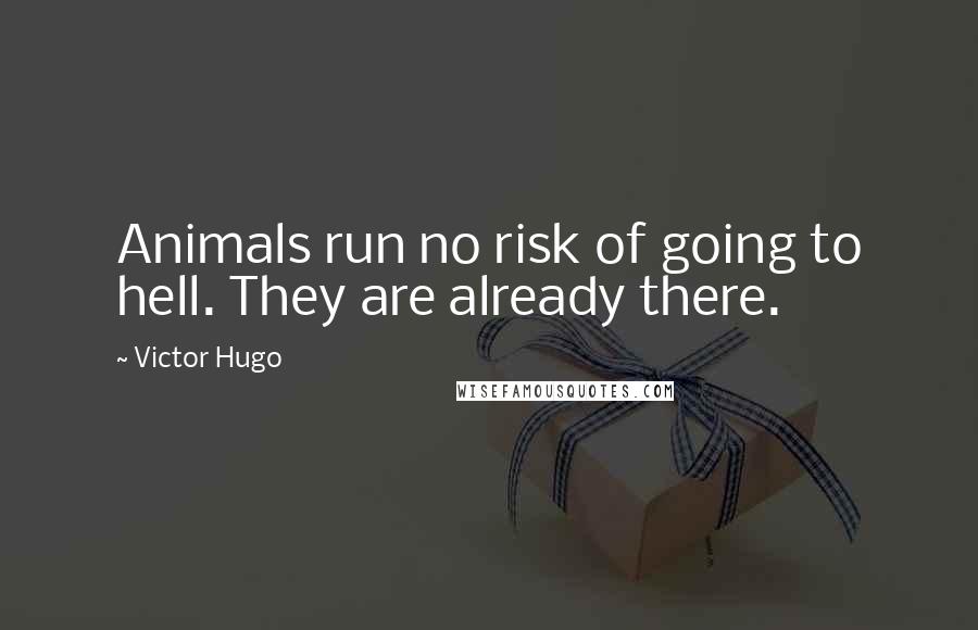 Victor Hugo Quotes: Animals run no risk of going to hell. They are already there.