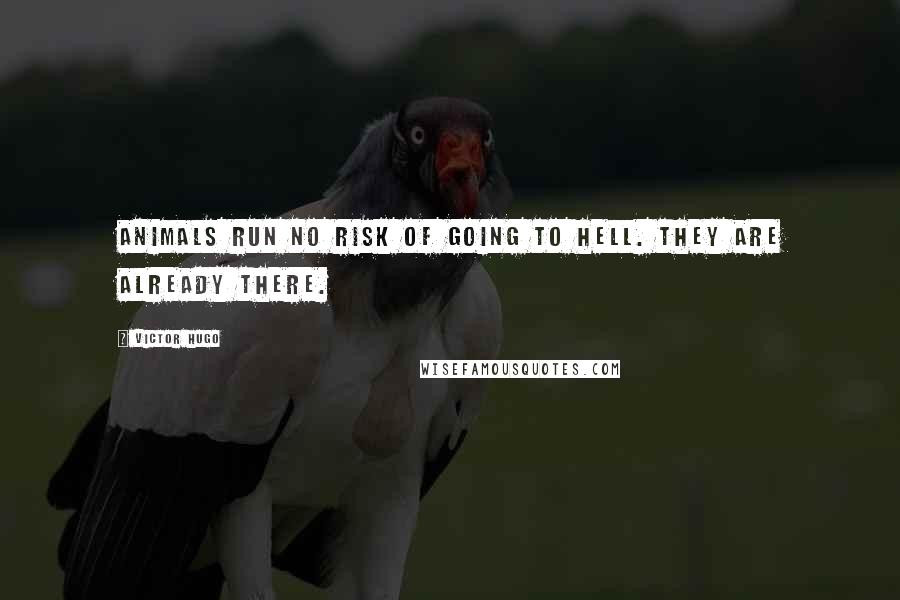 Victor Hugo Quotes: Animals run no risk of going to hell. They are already there.
