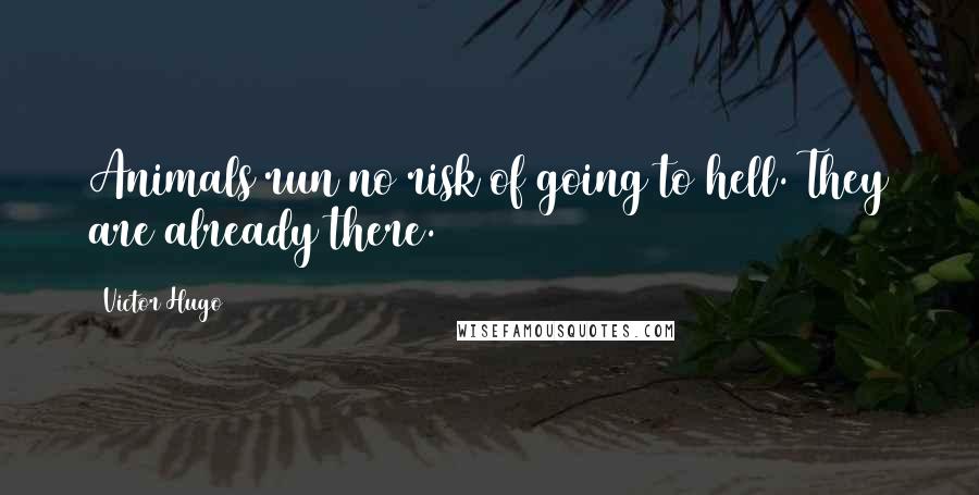 Victor Hugo Quotes: Animals run no risk of going to hell. They are already there.