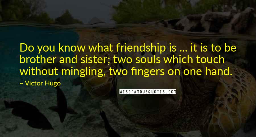 Victor Hugo Quotes: Do you know what friendship is ... it is to be brother and sister; two souls which touch without mingling, two fingers on one hand.