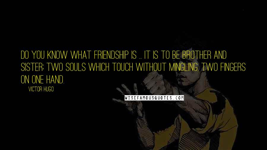 Victor Hugo Quotes: Do you know what friendship is ... it is to be brother and sister; two souls which touch without mingling, two fingers on one hand.