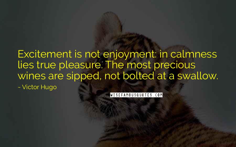 Victor Hugo Quotes: Excitement is not enjoyment: in calmness lies true pleasure. The most precious wines are sipped, not bolted at a swallow.