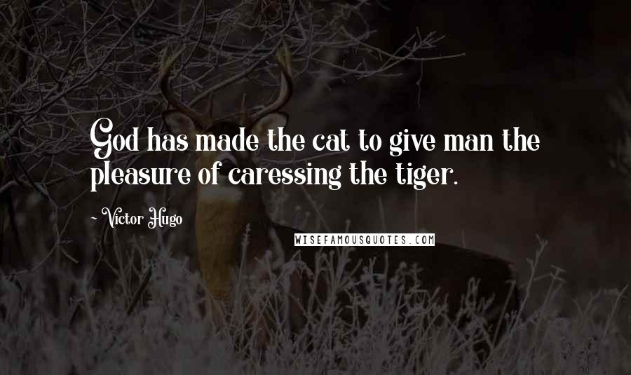 Victor Hugo Quotes: God has made the cat to give man the pleasure of caressing the tiger.