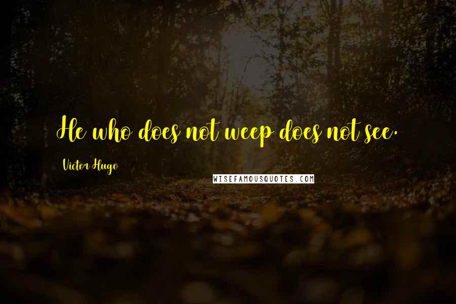 Victor Hugo Quotes: He who does not weep does not see.